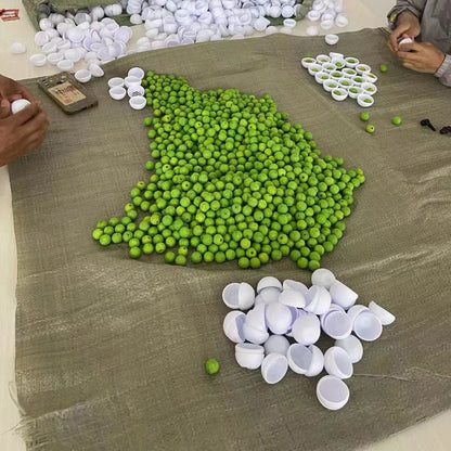 CozzyZoo | FreshSteps Deodorizing Balls (6pcs) 🐾✨