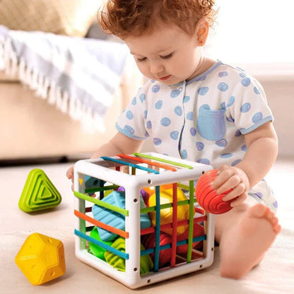 CozzyZoo Box - Educational Box