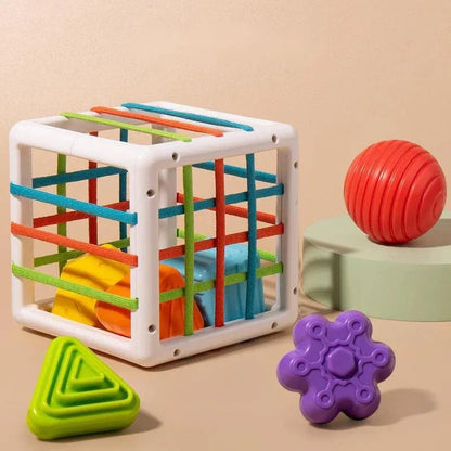 CozzyZoo Box - Educational Box