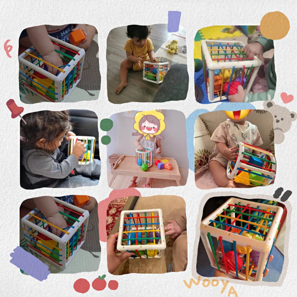 CozzyZoo Box - Educational Box